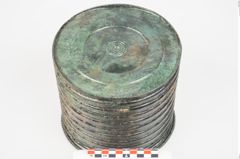 Foto von Bronzerippenciste (NHMW-PRAE-025983)